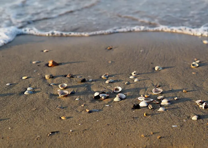 Апартаменты Stylish With Outdoor Pool *